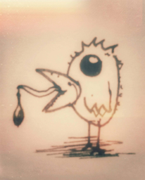 birdy