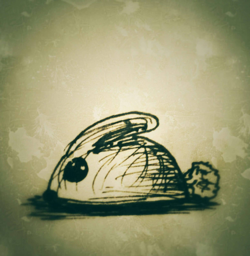 bunny