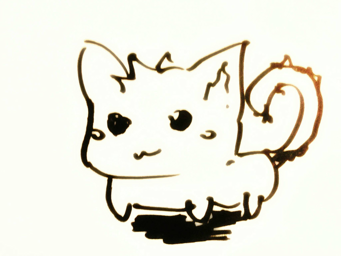 kitten