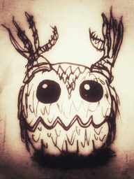 owl